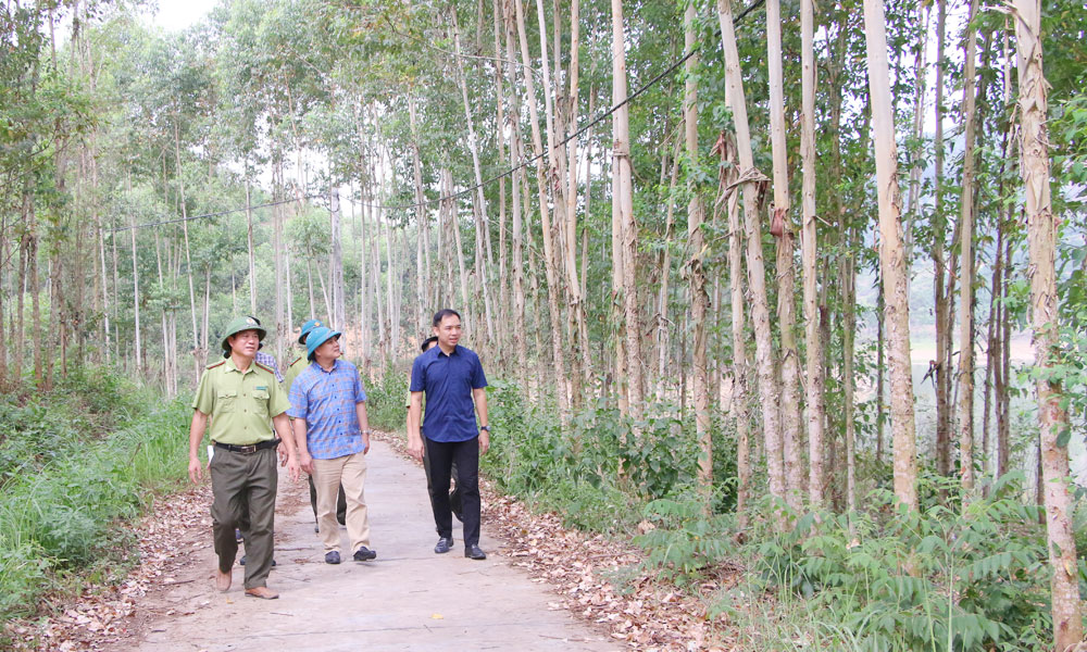 Đại diện Công ty cổ phần Smart Wood BG cùng cán bộ kiểm lâm Bắc Ninh kiểm tra vùng nguyên liệu tại xã Đèo Gia